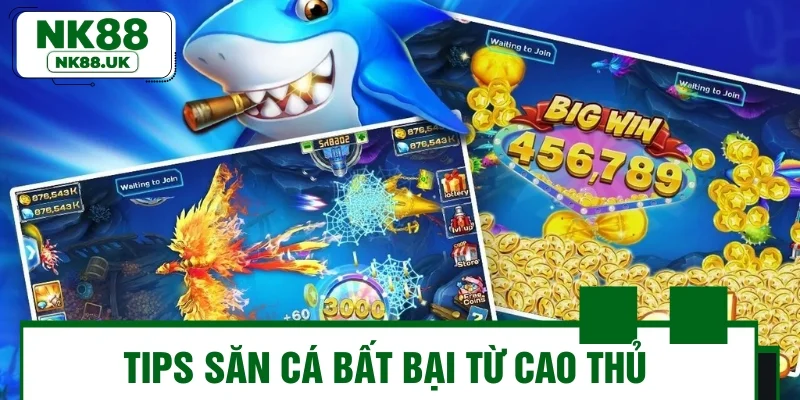Tips săn cá bất bại từ cao thủ