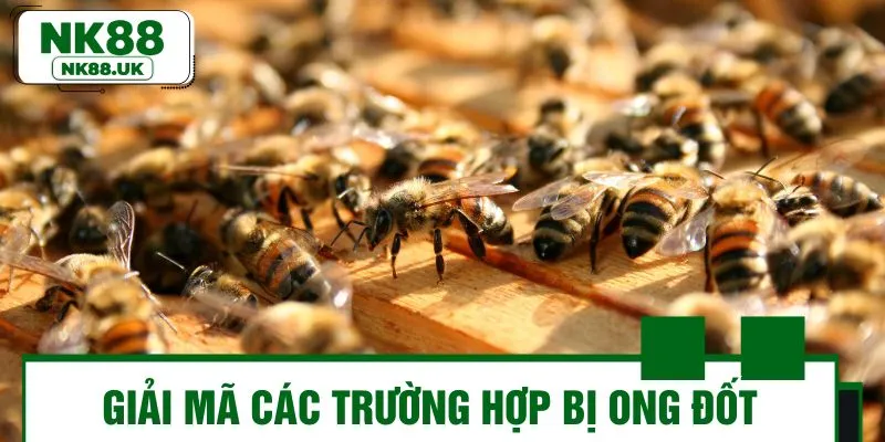 Chi tiết các tình huống bị ong đốt đánh đề con gì?