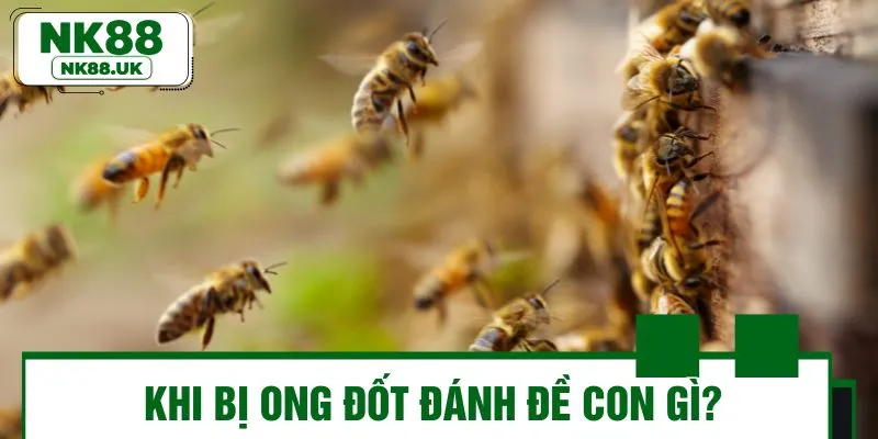 Cách chọn số đề khi bị ong đốt