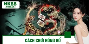 Cẩm Nang Cách Chơi Rồng Hổ Chuẩn Xác Cho Người Mới