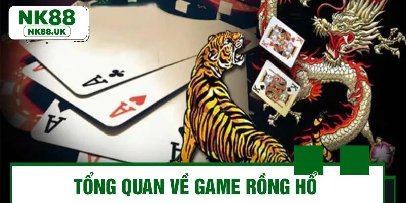 Vài thông tin ngắn gọn về rồng hổ