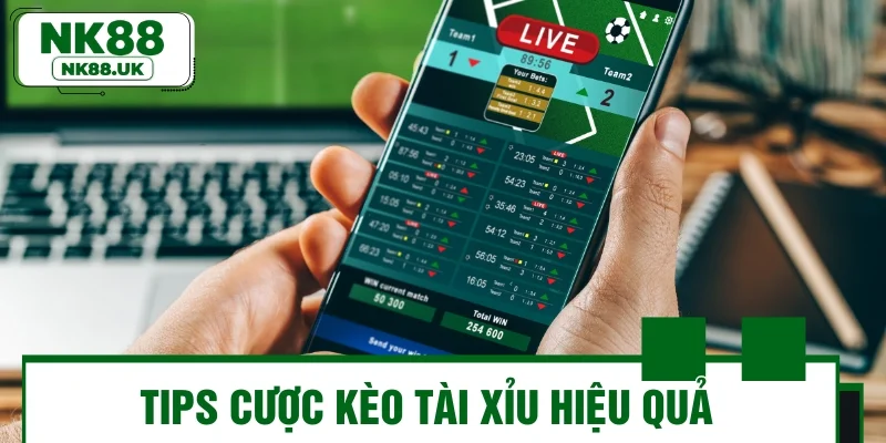 Tips cược kèo tài xỉu hiệu quả