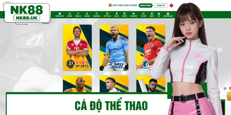 Cá độ thể thao là sản phẩm được nhiều người lựa chọn